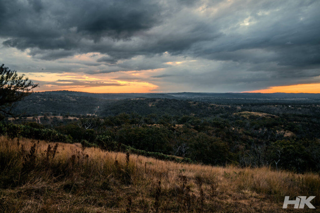 _DSC1316